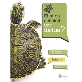 Et si on achetait une tortue ?