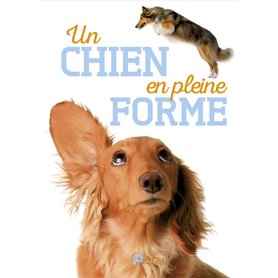 Un chien en pleine forme