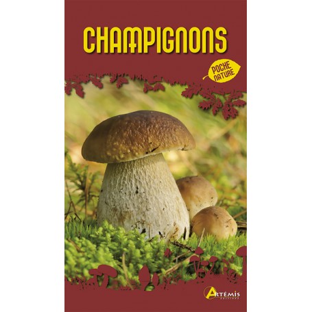 Champignons