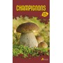 Champignons