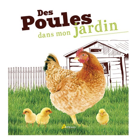 Des poules dans mon jardin