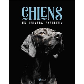 Chiens, un univers fabuleux