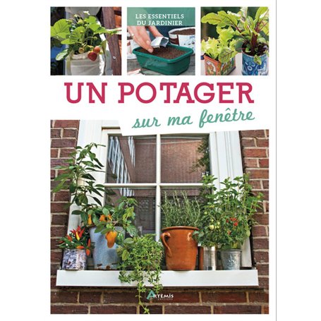 Un potager sur ma fenêtre