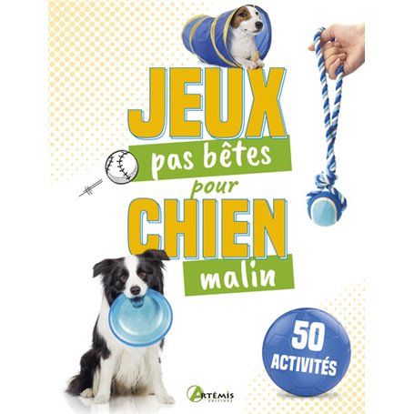 50 jeux pas bêtes pour chien malin