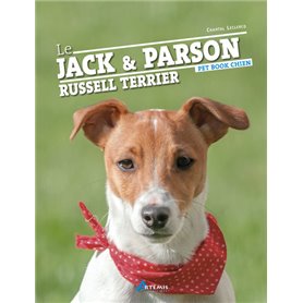 Le jack et le parson russell terrier