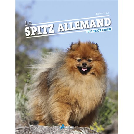 Le spitz allemand