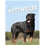 Le rottweiler