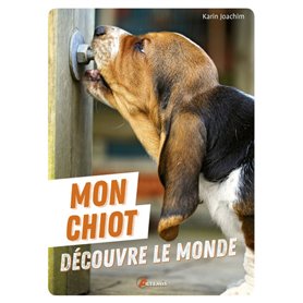 mon chiot decouvre le monde