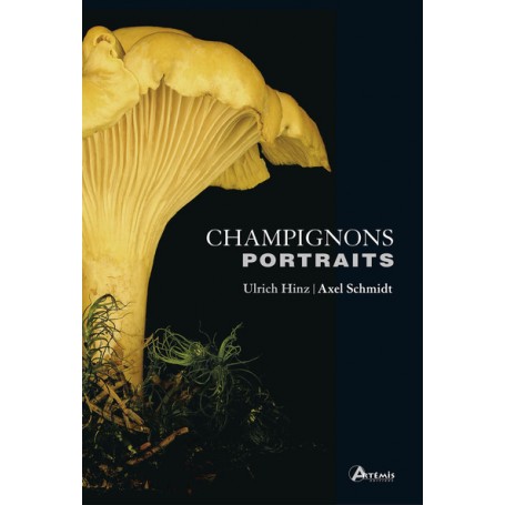 Champignons. Portraits