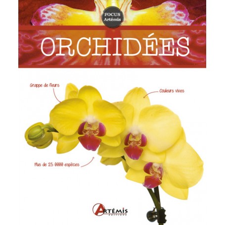 Orchidées