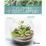 Plantes succulentes