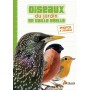 Les oiseaux du jardin en taille réelle