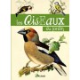 Les oiseaux du jardin