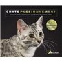 Chats passionnément