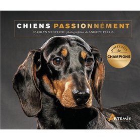 Chiens passionnément