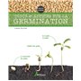 Trucs et astuces sur la germination