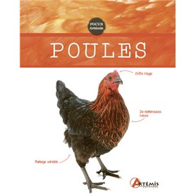 Poules