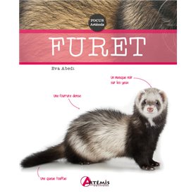 Furet