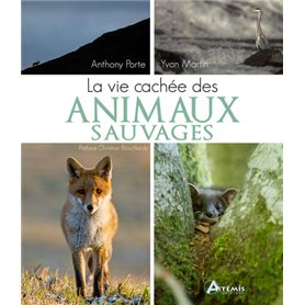 La vie cachée des animaux sauvages