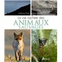 La vie cachée des animaux sauvages