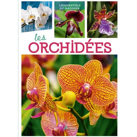 Orchidées