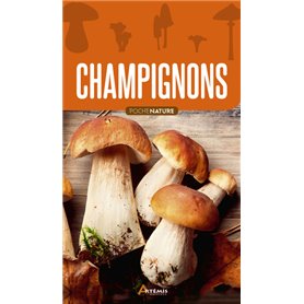 Champignons