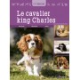 Le cavalier king Charles