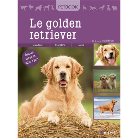 Golden retriever