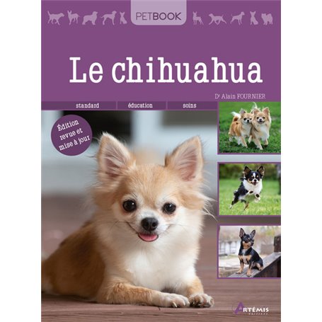 Chihuahua