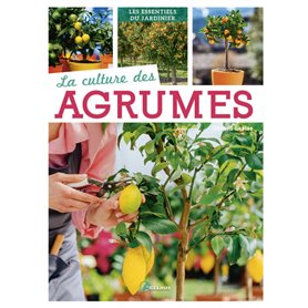 La culture des agrumes