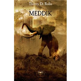 Meddik