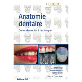 Anatomie dentaire