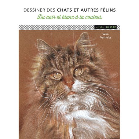 DESSINER DES CHATS ET AUTRES FÉLINS