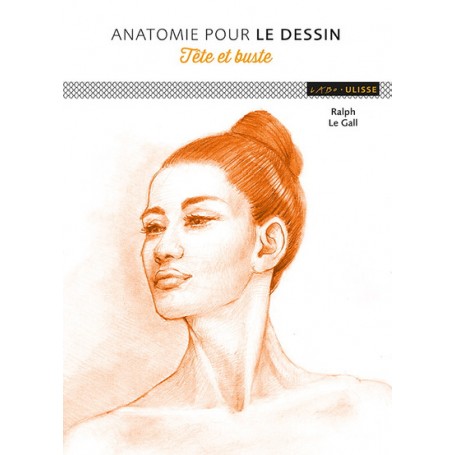 L'anatomie tête et buste