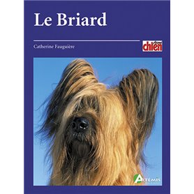 Le briard