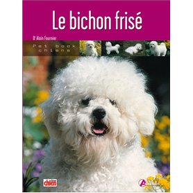 Le bichon frisé