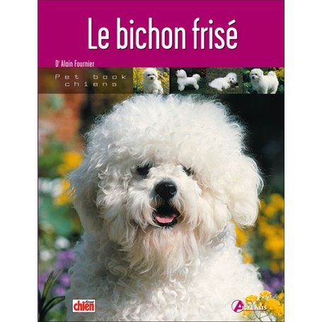 Le bichon frisé