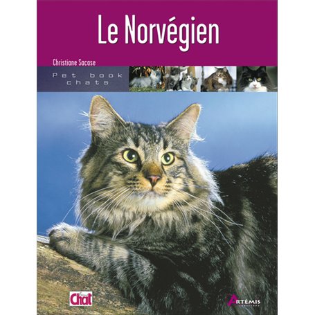 Le norvégien