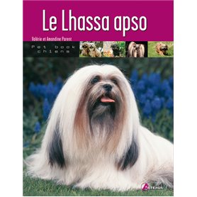 Le lhassa apso