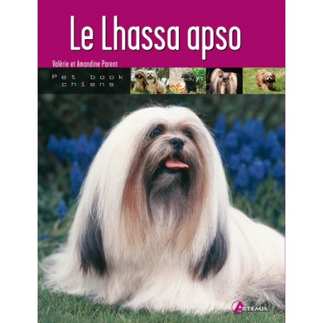 Le lhassa apso