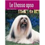 Le lhassa apso