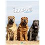 Le shar-pei