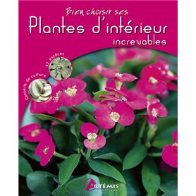 Plantes d'intérieur increvables