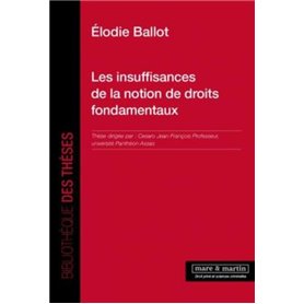 Les insuffisances de la notion de droits fondamentaux