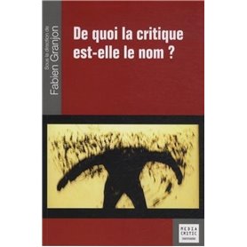 De quoi la critique est-elle le nom ?