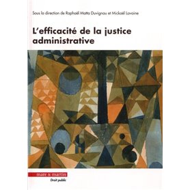 L'efficacité de la justice administrative