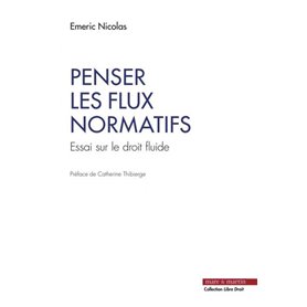 Penser les flux normatifs