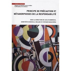 Principe de précaution et métamorphoses de la responsabilité
