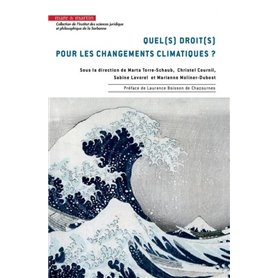 Quel(s) droit(s) pour les changements climatiques ?