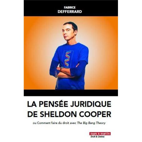 La pensée juridique de Sheldon Cooper